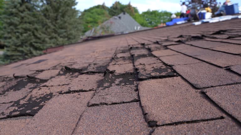 Steel Roofing in Harvard, NE